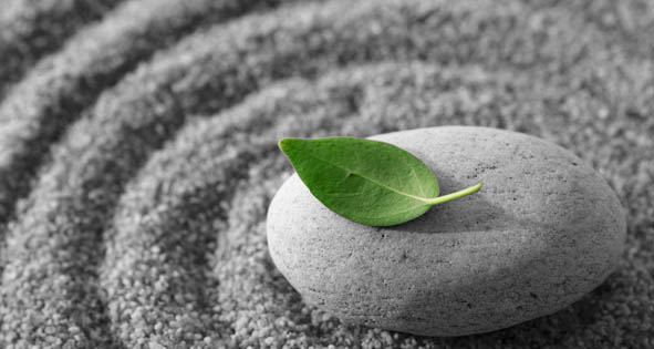 Zen Garden Meditaion - Ananta Yoga Studio
